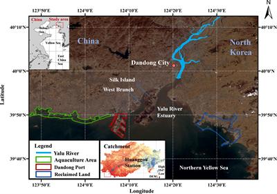 Coastline changes under natural and anthropogenic drivers in a macro-tidal estuary between 2000-2020